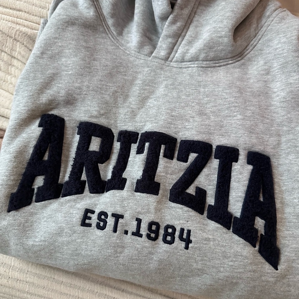 Aritzia Heather Gray and Navy Pullover Hoodie - Picture 2 of 5